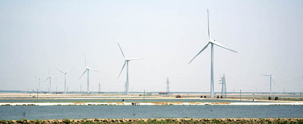 PP电子(中国)有限公司官网