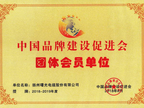 中国品牌建设推进会会员单元